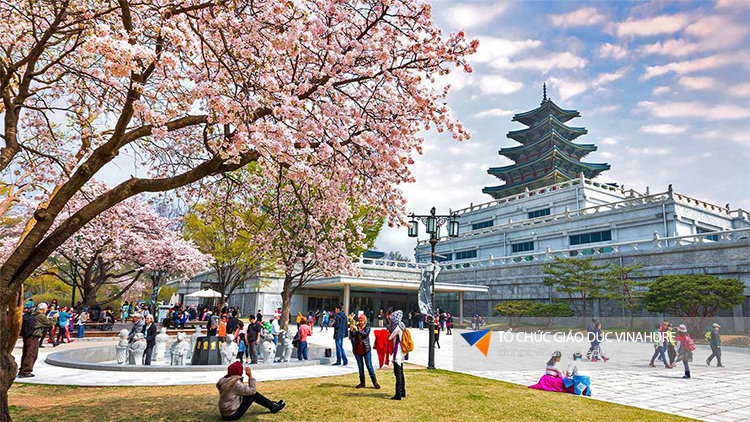 Du học Hàn Quốc có cần thi đại học không